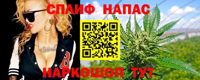 спиды Моздок