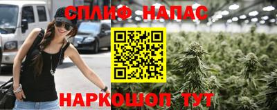 спиды Моздок