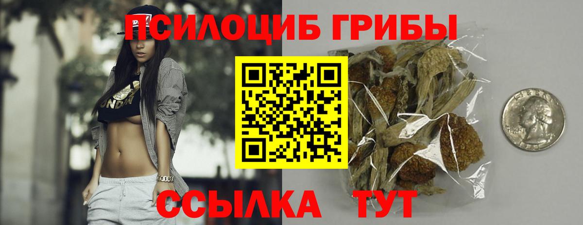 Псилоцибиновые грибы GOLDEN TEACHER  Вход с VPN  Волоколамск 